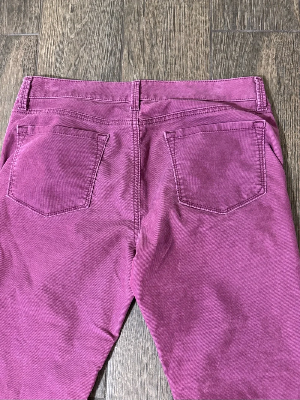 Ann Taylor Loft Size 6/28 Soft Berry Pants